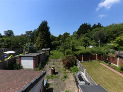 Picture 15